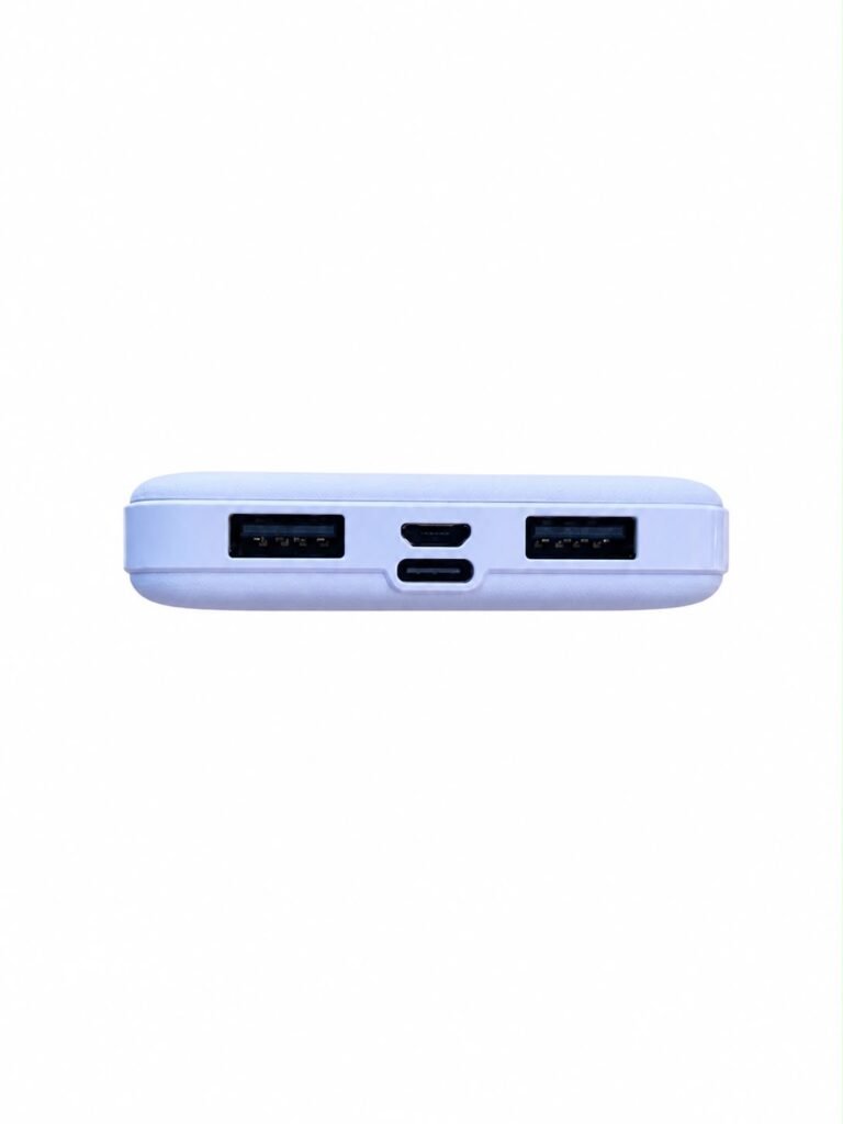 Dual USB Portable Power Bank
